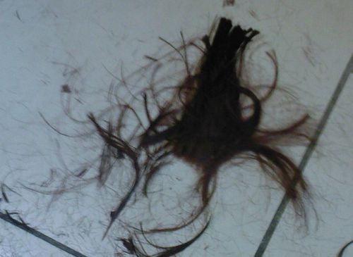 haar haar