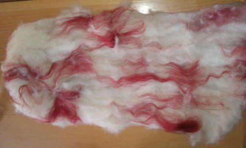 Wolfsmischling